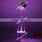 Led Acrylic Centerpiece