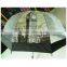 Clear transparent umbrella dome shape poe umbrella