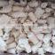 Zhoushan frozen squid flower
