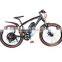 High quality hot sell two wheels electric bicycle