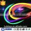 50m Flexible LED Neon Light for Decoration Lighting