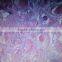 Histology oral pathological human prepared slides