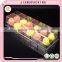 Wholesale disposable plastic rectangular clear blister tray for packing fruits salad