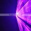 600mW Rose laser wedding party disco light