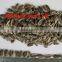 dried sunflower seeds sunflower seeds turkey