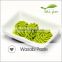 Best-selling Dilicious Fresh Wasabi Paste