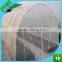 Fruit tree HDPE insect proof net / greenhouse plastic anti insect mesh