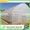 Searea Hot Sale Greenhouse Film