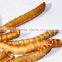 Cat Food 2.5--2.8 cm Freeze Dried Mealworms;Yongzheng Dried Mealworms For Cat