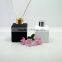 Wholesale empty clear aroma reed diffuser glass perfume bottle