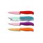 Best Quality Stainless Steel Fruit Paring Knife