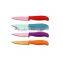 Excellent Quality Eco-friendly Fruit Paring Knife