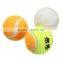 2016 New Top Selling Pet Cat Dog Play Training Tennis Ball Funny Chew Run Fetch Throw Beach Toys Pet Supplies