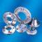 ISO forged Flange