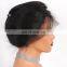 Silk Base Full Lace Human Hair Wig