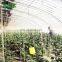 Easy Assemble Modular Retractable Sunlight Vegetable Strawberry Cucumber Single Span Tunnel Greenhouse