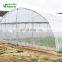 Agriculture Steel Pipe Greenhouse Poly Tunnel