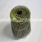 manufacturer of low price Electro galvanized wire stainless steel coil nail