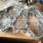 6CT Gear Housing Cover 3926518