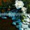 China Building Glass Factory Good Quality 5mm 6mm 8mm 10mm Tinted Float Glass