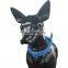 Factory supply dog id collar dog collar wholesale