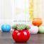 European style simple white succulent planting pot creative candy color ceramic small flower pot