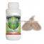 EoNPV + Bt organic products to kill Ecotropis Obliqua