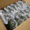 Sinocharm New Season BRC Approved 2-4CM Fresh Frozen Cut Green Asparagus IQF Green Asparagus