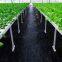 Woven Weed Control Fabric Ground cover Farm PP Anti Grass Cloth with UV Protection