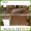 High Quality Yellow Granite Amendoa Aurora Granite