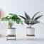 Simple Style Iron Frame S-shape Ceramic Flower Pot Ins Green Plants Succulent Creative Flower Pot With Metal Stand