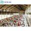 Prefab broiler poultry chicken farming shed design