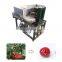 automatic date core extracting green plum seed removing separator cherry pitting machine