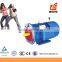 220V Squirrel Cage Induction 500W AC Motor