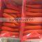 fresh red carrot