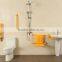 Toilet Disabled Grab Bar for Safety