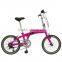 2015 Hot Selling Good Quality 20 inch Steel Folding Bike FB-B109