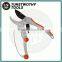 Taiwan 8" 205mm SK5 PTFE Blade Oil Sponge Drop Forged Aluminum Garden Scissors Ratchet Pruning Shear