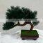 Mini Christmas Decorative Tree Factory Price