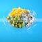 clear plastic packaging disposable salad bowl