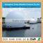 2015 giant white perfect inflatable dome tent for projection                        
                                                Quality Choice