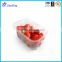 New Plastic Disposable Fruit Salad Container