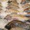 Frozen Tilapia W/R 500-1000g