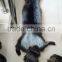 Natural color fur pelt real Silver Fox