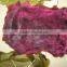 Dyed rabbit fur pelt or skin