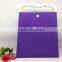 Colorful Plastic Carry Bag PP Handle Gift Bag Gift Warpping Plastic Bags