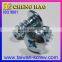 Taiwan Supplier Phillips Slotted-Screw Bolt
