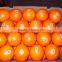 Supply fresh orange with good quality for sale