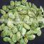 Chinese Green Tea Roasted Pumkin Seeds Kernels for sale