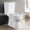 foor mounted and wall mounted both available washing down one piece toilet